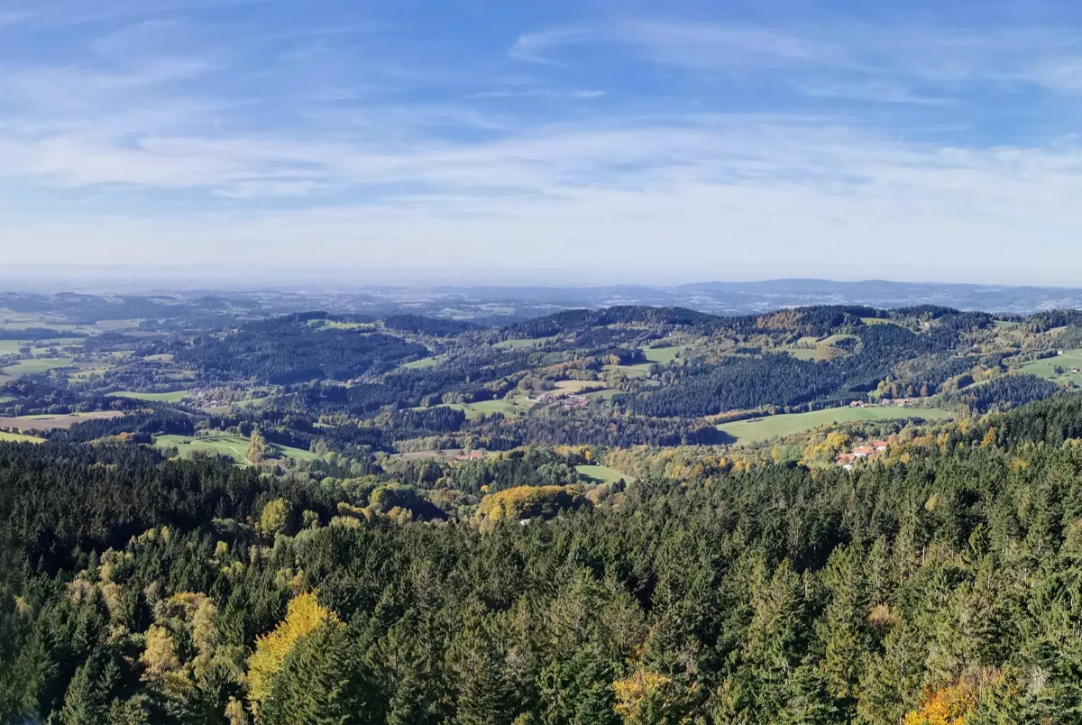 Bayerischer Wald Panorama