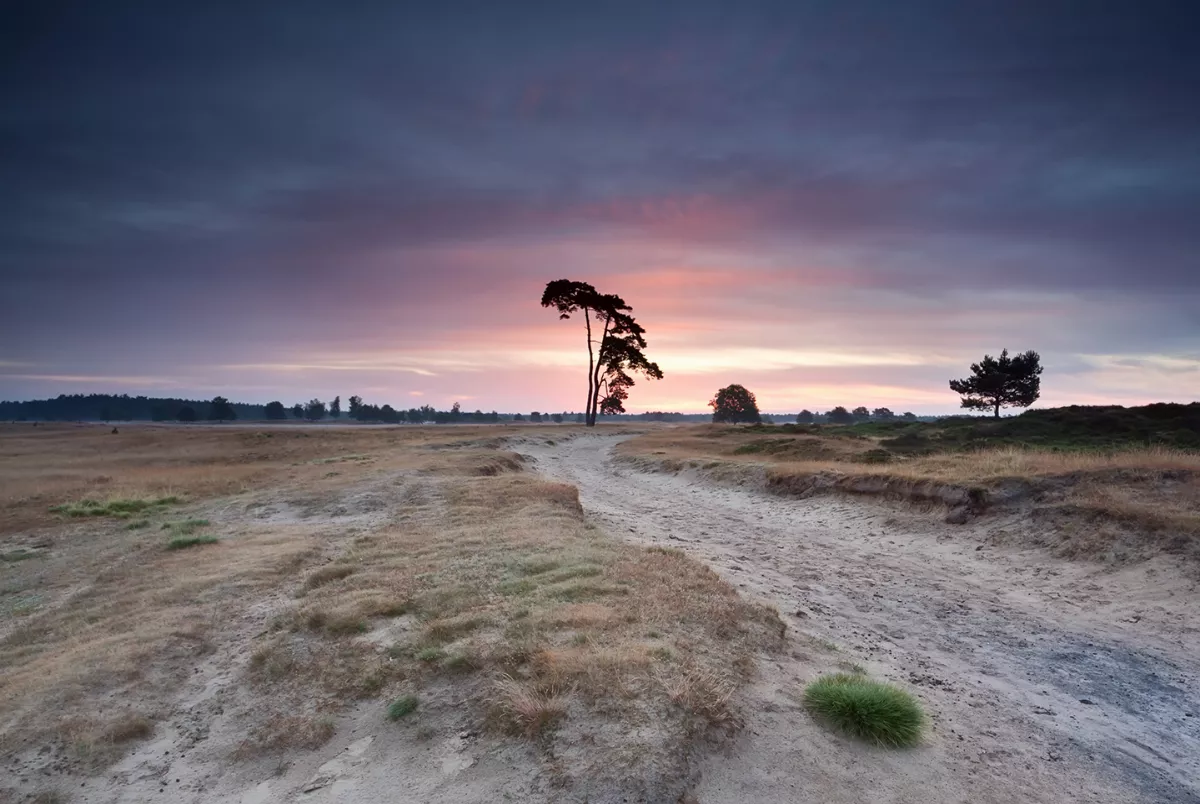 Nationalpark Drents-Friese Wold