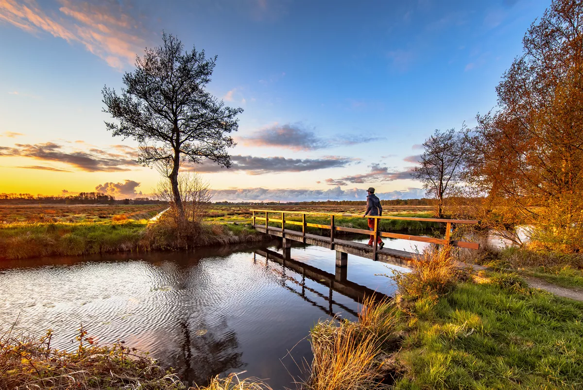 Nationalpark Drentsche Aa