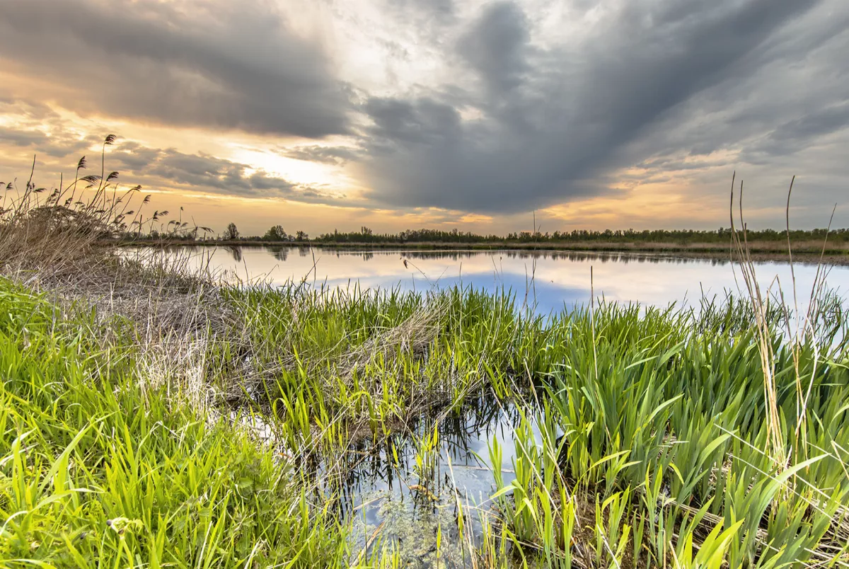 Nationalpark Weerribben-Wieden