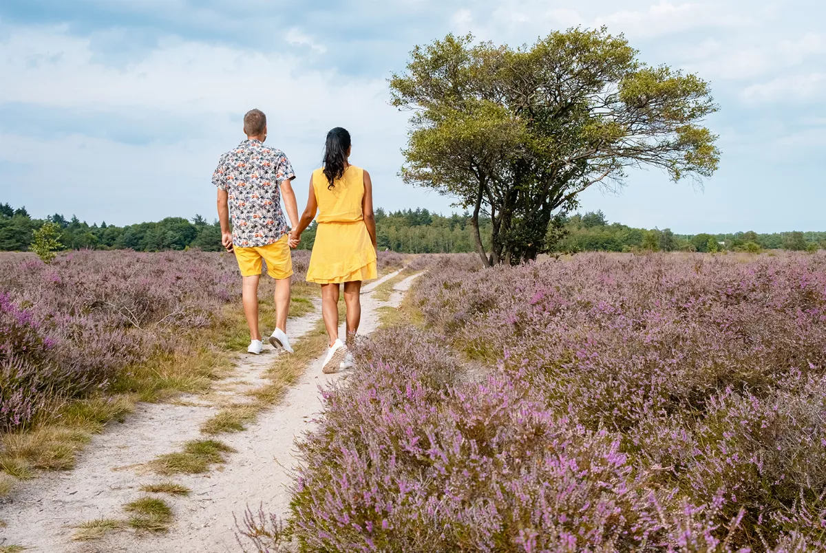 Spaziergang durch die Veluwe