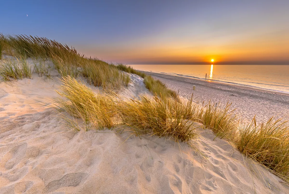 Dünen und Strand in Zeeland