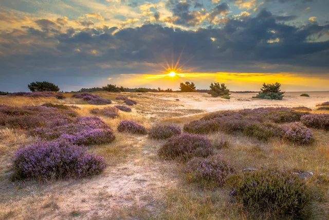 Ausflugsziel Nationalpark De Hoge Veluwe